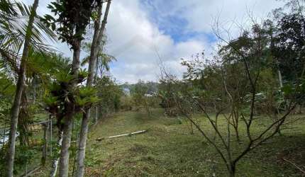 AMPLO TERRENO COM 9.110m² DE ÁREA TOTAL