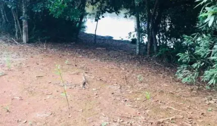 Terrenos para venda em Bragança Paulista no bairro Biriça do Campinho