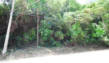 Terrenos para venda em Atibaia no bairro Jardim Paulista