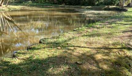 Vendo linda Chacára no Cipó, com 43 mil m², 3 dormitórios e 1 suíte excelente!
