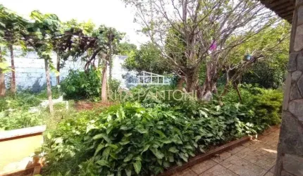 Casa - Ribeirão Preto - Vila Carvalho - Região Norte