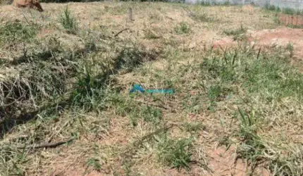 Terreno C/ 1.000 M², Boa Topografia, Bairro Colonia Jundiaí (Aceita Permuta)