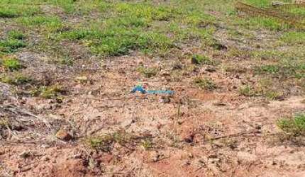 Vende-se Lote de 600 m2, de Alto Padrão, com Fundo para Mata, no Condomínio Reserva Marajoara - Jundiai