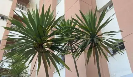 APTO CENTRO