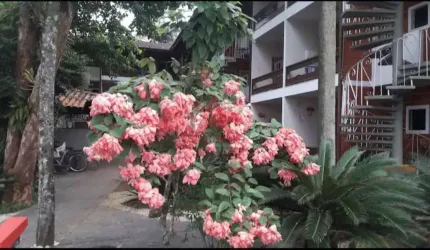 APARTAMENTO BEM LOCALIZADO, A VENDA NO CENTRO DE UBATUBA - SP