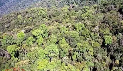 Área Reflorestamento FAZENDA À VENDA DE PARA COMPENSAÇÃO DE  RESERVA LEGAL, NO INTERIOR DE SÃO PAULO