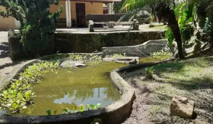 Chácara Aconchegante - 10.000m² Plano