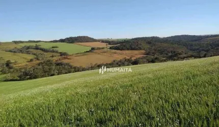 Sitio à venda - Cambé/PR