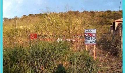 Chácara à venda, 4604 m² por R$ 390.000,00 - Limoeiro - Londrina/PR