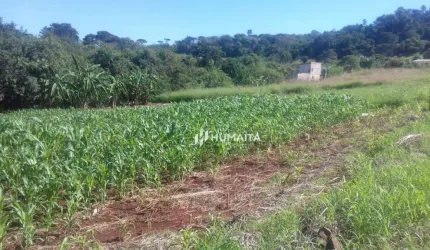 Chácara com 1 dormitório à venda, 1822 m² por R$ 190.000,00 - Limoeiro - Londrina/PR