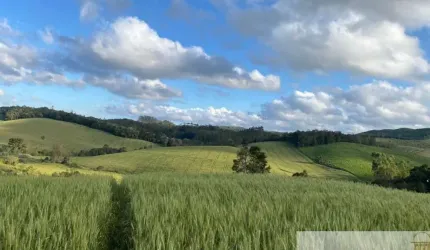 Fazenda à venda na Itapeva, Centro, Itapeva por R$ 10.000.000