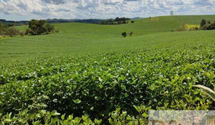 SÍTIO A VENDA EM SÃO MIGUEL ARCANJO-SP, COM ÁREA TOTAL DE 30 ALQUEIRES E REPRESA PEQUENA E NASCENTES,
