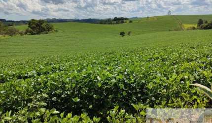 EXCELENTE SÍTIO A VENDA EM SÃO MIGUEL ARCANJO-SP, COM ÁREA DE 30 ALQUEIRES, SENDO 20 EM PLANTIO E TOPOGRAFIA SEMIPLANA A ONDULADA