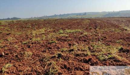 EXCELENTE SÍTIO A VENDA NA REGIÃO DE ITAPETININGA-SP,  COM 37 ALQUEIRES, TERRA MISTA A VERMELHA, TOPOGRAFIA SEMI PLANA E BOA EM ÁGUA