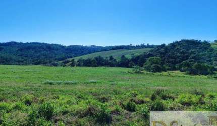 FAZENDA A VENDA NA REGIÃO DE ITAPETININGA-SP, FORMADA EM LAVOURA E PASTO, ÁREA TOTAL DE 50 ALQUEIRES, TOPOGRAFIA ONDULADA E DECLIVE SENTIDO ÁGUA