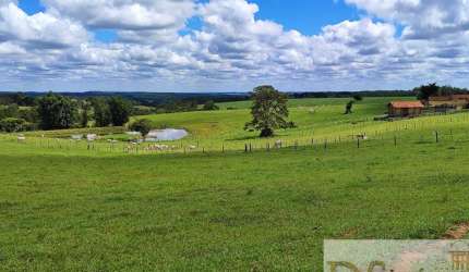 Oportunidade única! Fazenda de 39 alqueires em Itapetininga-SP com estrutura completa para agricultura e pecuária.