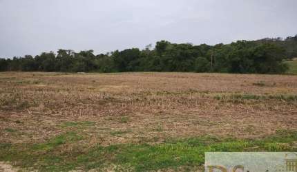 FAZENDA À VENDA EM ANGATUBA/SP COM 13,60 ALQUEIRES DE TERRA MISTA, RICA EM ÁGUA E BOA TOPOGRAFIA.