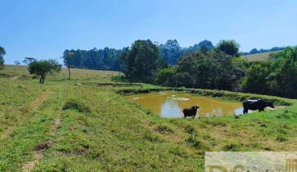 SÍTIO DE 12,5 ALQUEIRES EM ITAPETININGA/SP: CASA SEDE, PISCINA, CANIL E MUITO MAIS!