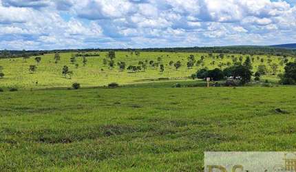 Oportunidade única! Fazenda de 294 alqueires à venda em Botucatu/SP, com potencial para gado, agricultura e mais. Aproveite!