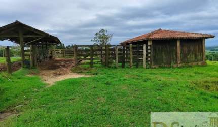 Sítio à Venda em Itapetininga-SP: 10,34 Alqueires de Pura Qualidade!