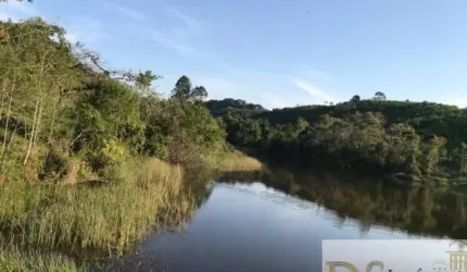 FAZENDA DE 90 ALQUEIRES À VENDA EM IGUAPE/SP - POTENCIAL PARA PECUÁRIA E CULTIVO - LOGÍSTICA PRIVILEGIADA