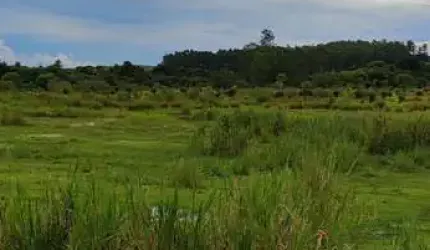 EXCELENTE SÍTIO À VENDA COM 10,33 ALQUEIRES NA CIDADE DE CAPELA DO ALTO-SP - BARRACÃO, RIO, REPRESA E CASA SEDE - IMPERDÍVEL!