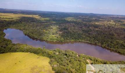 FAZENDÃO À VENDA EM GOIATINS-TO: 7.800 ALQUEIRES DE OPORTUNIDADE!