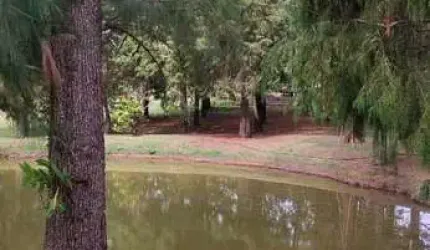 FAZENDA DE ALTO PADRÃO À VENDA - 67 alqueires em Sorocaba-SP. Investimento de Qualidade para Agricultura e Pecuária!