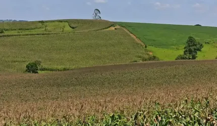 Fazenda à venda na Rua Cassiano Vieira, 12, Centro, São Miguel Arcanjo por R$ 7.500.000