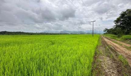 Fazenda de 44 hectares à venda em Joinville-SC, Vila Nova: oportunidade única de investimento!