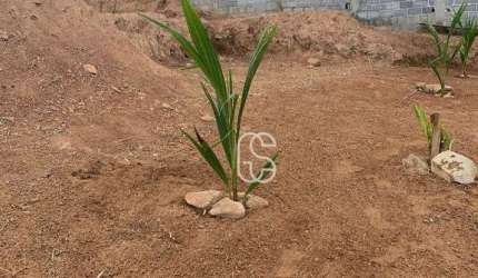 Terreno à venda, 765 m² por R$ 381.000,00 - Parque Fernão Dias - Atibaia/SP