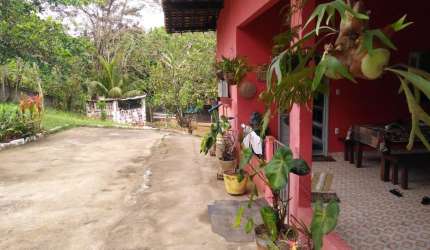 VENDO EXCELENTE CHÁCARA COM 1 HECTARES