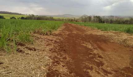 Sitio para venda em Igarapava-SP, com 61 alqueires sendo 33 alqueires em cana, terra de cultura, córrego na propriedade, proximo de Usinas