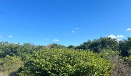 Oportunidade. Fazenda para venda na região de Avelino Lopes-PI com 8.900 hectares, fora do Parque, ideal para reserva e frutas como caju e etc