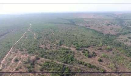 Fazenda dupla aptidão para venda na região de Alvorada do Norte-GO com 167 hectares, plana, boa de agua, sede pequena, energia