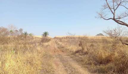 Fazenda para venda na região de Barretos-SP, com 131 alqueires, pode plantar 90 alqueires em cana arrendada, divisa com Rio