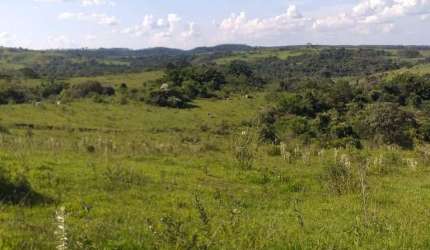 Fazenda para venda na região de Pirajui-SP com 73 alqueires na pecuaria, boa de agua, casa sede e mangueira, 15 km da cidade, vende desmembrado