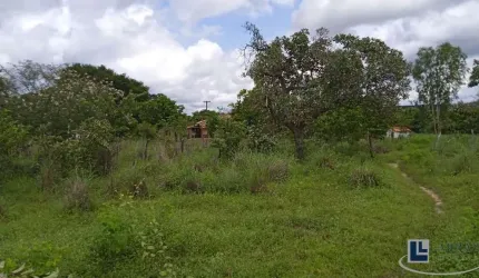 Sitio dupla aptidão para venda em Floriano-PI com 70,5 hectares, atual na pecuária, terra boa para lavoura, beira do asfalto, benfeitorias, agua