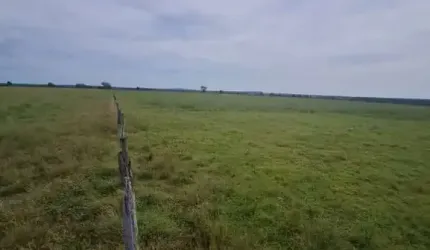 Fazenda na pecuaria para venda na região de Mozarlandia-GO com 2.100 hectares toda aberta e formada, planta 1.350 hectares, rica em agua e muitas benf