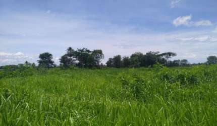 Fazenda na pecuária para venda na região de Corumba-MS no Pantanal com 1.990 hectares, ótima em benfeitorias
