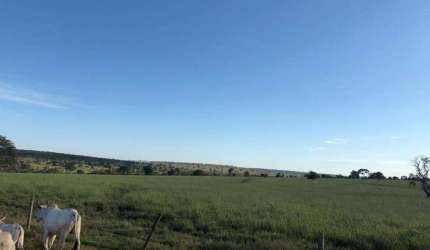 Fazenda dupla aptidão na região de Anaurilandia-MS com 150 alqueires formada na pastagem e muitas benfeitorias