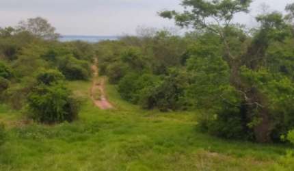 Fazenda para venda na região de Presidente Venceslau-SP com 86 alqueires montada na pecuária com benfeitorias completas
