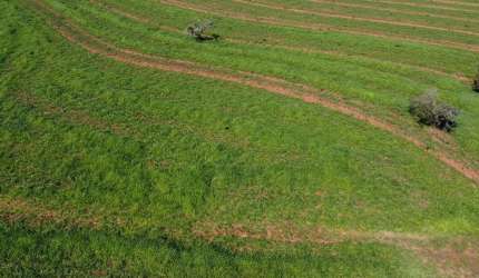 Fazenda para venda na região de Aparecida do Taboado-MS com 149 alqueires, terra de cultura, montada na pecuária, benfeitorias ótimas, rica em agua
