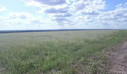 Fazenda para venda na regiao de Bom Jesus-PI com 1.299  hectares, sendo 200 hectares abertos para lavoura, benfeitorias