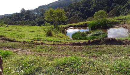 Excelente sitio para venda ou incorporação em Mairinque-SP com 12 alqueires sendo 6 alqueires em pastagem, próximo de condomínios