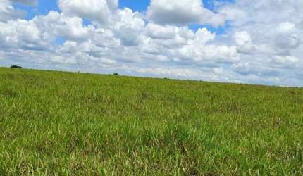 Fazenda dupla aptidao para venda na região de Jales-SP com 77 alqueires sendo 63 alqueires em cana arrendada