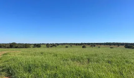 Fazenda para venda na região de Inocencia-MS com 98 alqueires na pecuária, boa de agua e de benfeitorias