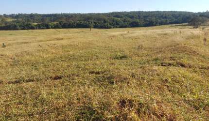Fazenda dupla aptidao para venda na região de Ituiutaba-MG com 175 hectares na pecuária, pode plantar 140 hectares em cana ou soja