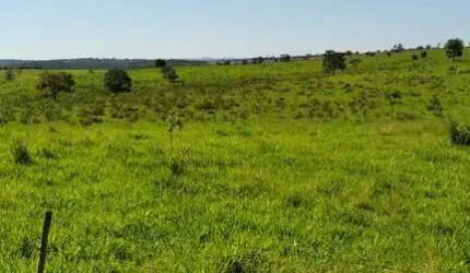 Fazenda para venda na região de Camapua-MS com 940 hectares na pecuária, rica em agua e completa em benfeitorias
