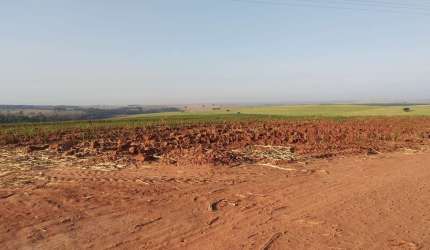 Fazenda dupla aptidao para venda na região de Lins-SP com 115 alqueires em cana e pastagem, fazenda completa